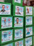 پیام آیت الله هادوی تهرانی به مناسبت تشییع شهدای اقتدار